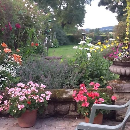 Swan Cottage Coxwold Εξωτερικό φωτογραφία